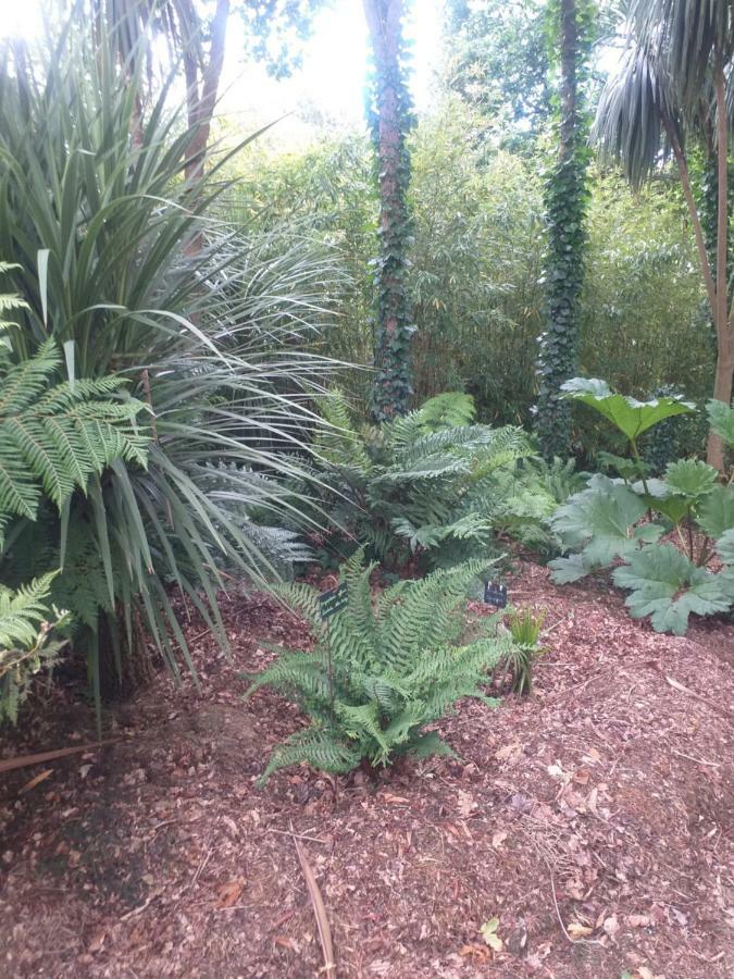 Un Jardin en Pente Douce Villa Locquenole Exterior foto